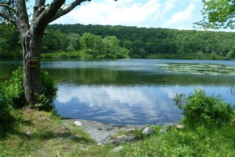 "CATFISH_POND" by jeremytravers | Catfish pond, Pond, Nature