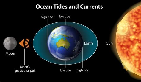 The Moon And Tides - What Causes Tides? 06C