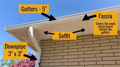 Wasp Nest Soffit / Wasp nest control frequently asked questions.