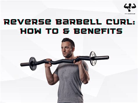 Reverse Barbell Curl: How To & Benefits – FitDominium