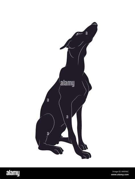 dog sitting, silhouette, vector, white background, vector Stock Vector ...