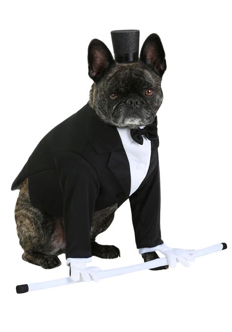 Formal Tuxedo Dog Costume