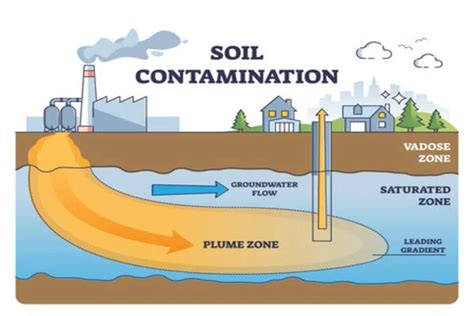 Soil Contamination - Assignment Point