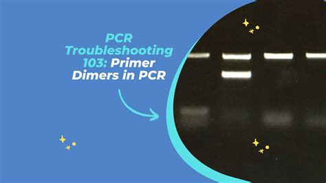 PCR Troubleshooting 103: How to Address Primer-Dimers – Genetic Education