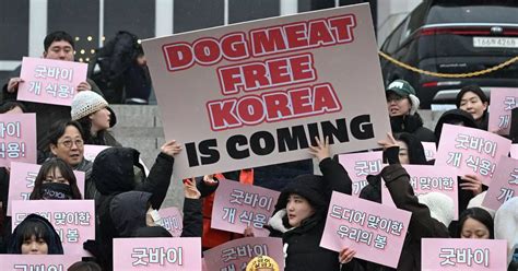 South Korea bans sale of dog meat as new law could jail illegal ...