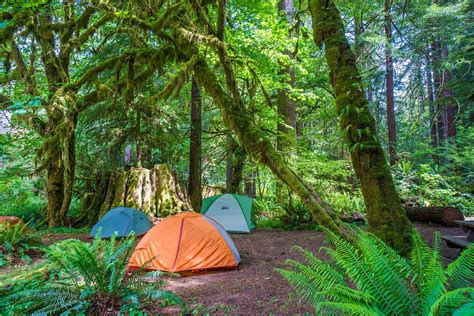 Campsites In Redwood National Park | Kids Matttroy