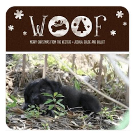 Pet Lover Holiday Photo Cards | Dog & Cat Christmas Cards ...