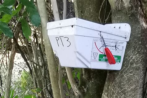 Possum Traps - reWild Wainui