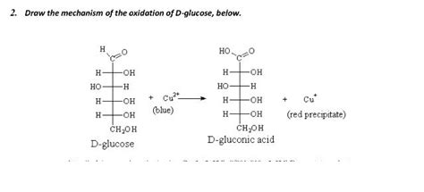 Solved 2. Draw the mechanism of the oxidation of D-glucose, | Chegg.com