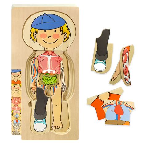 Buy Kidzlane Wooden Human Body Puzzle for Kids and Toddlers | 29 Piece ...