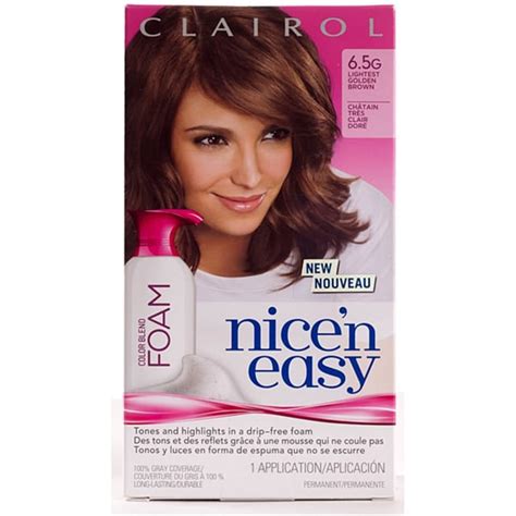 Shop Clairol Nice'n Easy Foam #6.5G Lightest Golden Brown Hair Color ...