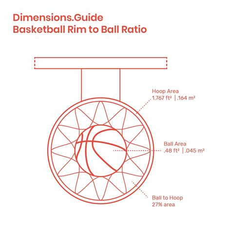 Basketball Rim to Basketball Ratio | Basketball rim, Basketball rims ...