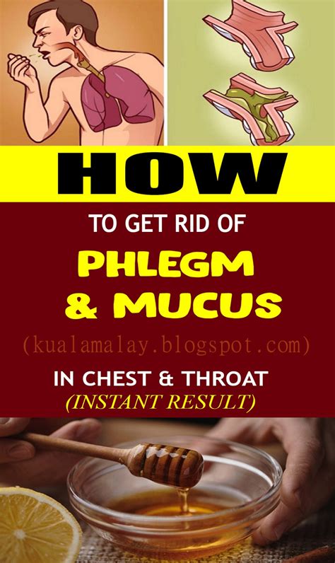 What Causes Excessive Phlegm In The Throat