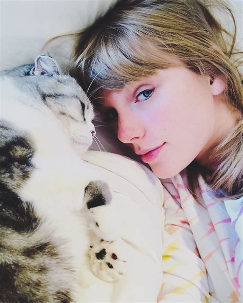 Guide to Taylor Swift's Cats — Meredith, Olivia and Benjamin