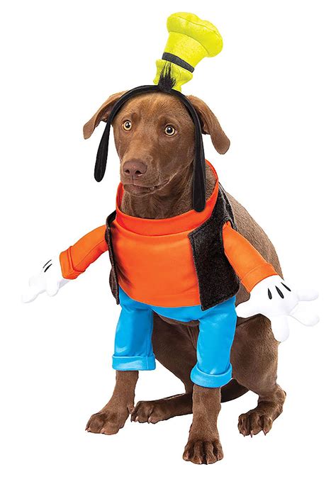 Goofy Costume for Dogs