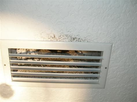 Two Common Causes Of AC Mold | Moldinspector's Weblog