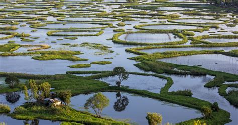 🔥 Keibul Lamjao National Park: The World's Only Floating National Park ...