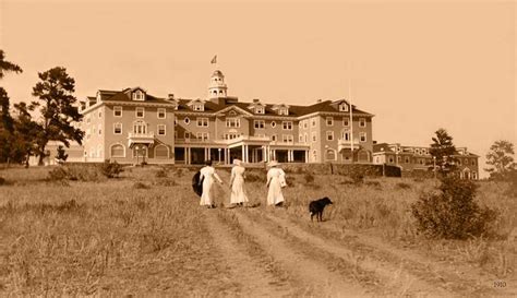 The Overlook Maze from 'The Shining' in an Ornate Black or White Frame ...