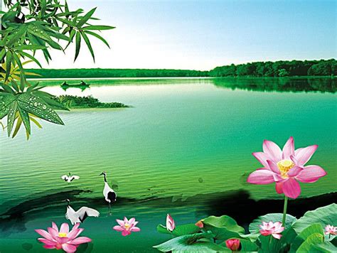 Free Natural, Lotus, Landscape Background Images, Fresh And Natural ...