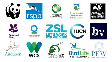 Top 17 Conservation Organisations for Conservation Job Seekers