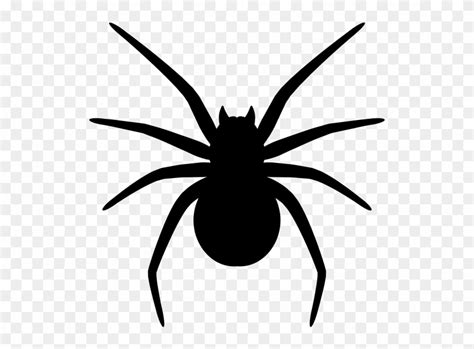 Download Spider Png Silhouette - Wolf Spider Clipart (#4881414 ...