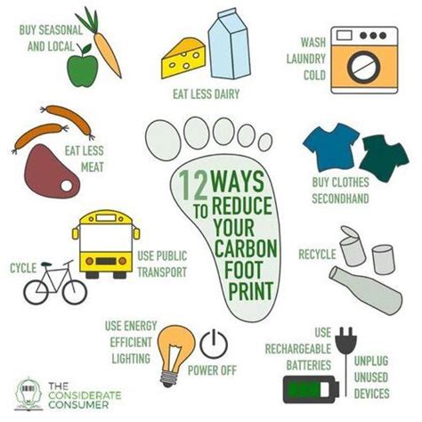 How to reduce your carbon footprint — The Considerate Consumer | Carbon ...