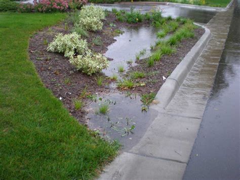 Virginia Rain Garden Design