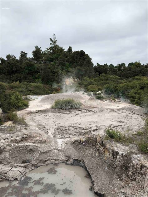 Hawaii Mom Blog: Visit Rotorua: Te Puia