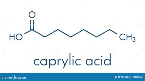 Caprylic Octanoic Acid Molecule. Common Saturated Medium-chain Fatty ...