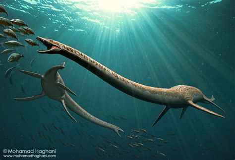 Mohamad Haghani - Elasmosaurus