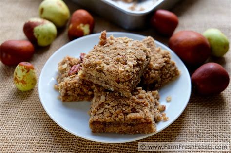 Farm Fresh Feasts: Jujube Butter Oatmeal Bars