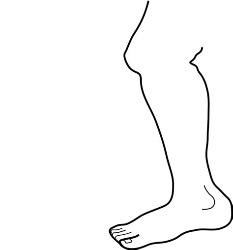 Male Body Outline Drawing | Free download on ClipArtMag