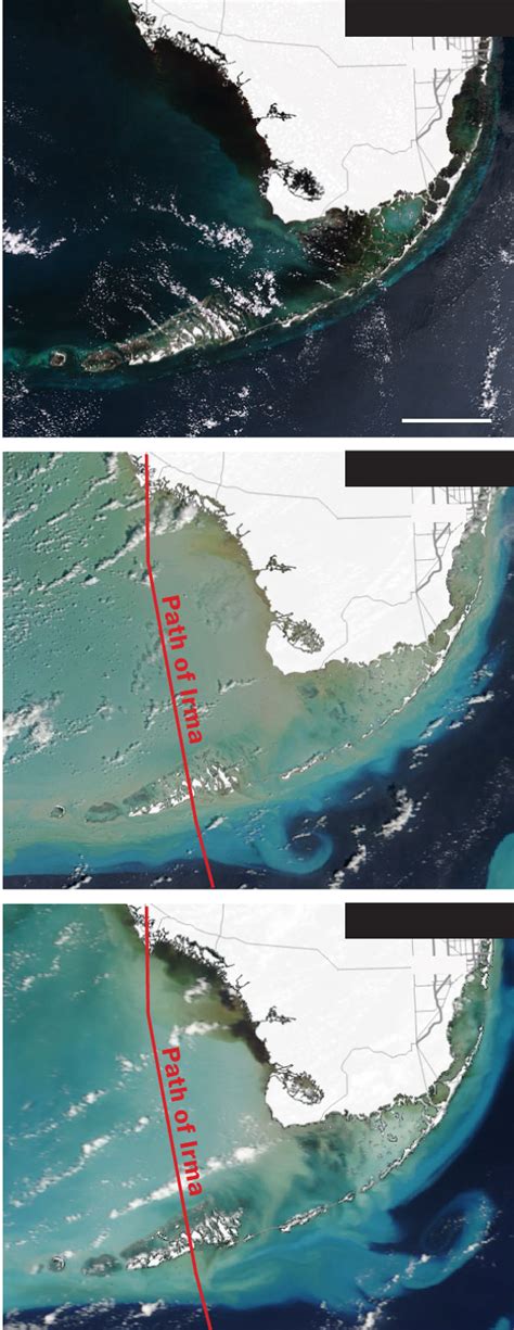 Before and after Hurricane Irma - Washington Post