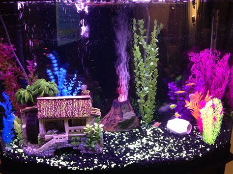 My new glo fish aquarium | Fish tank design, Cool fish tanks, Fish ...