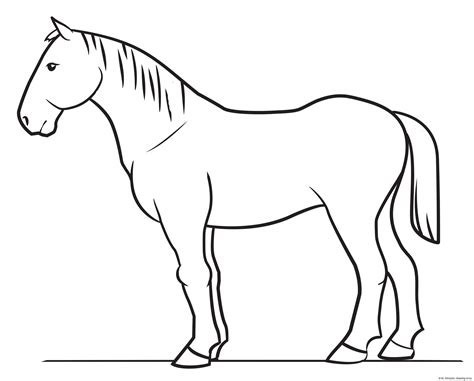 Horse drawing – simple – Line art illustrations