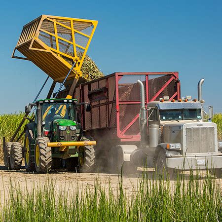 Sugar Cane Harvesting | CH960 Sugar Cane Harvester | John Deere US