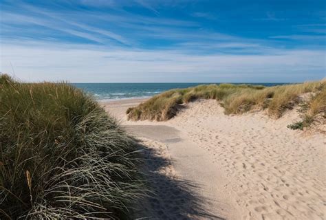 Premium Photo | Path to the beach on north sea in holland netherlands