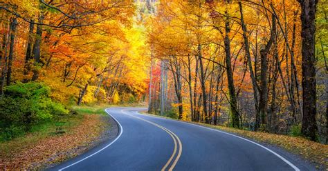 Best Fall Drives in the Smokies - Smoky Mountains, TN & NC