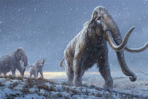 First million-year-old DNA extracted from Siberian mammoth teeth | New ...