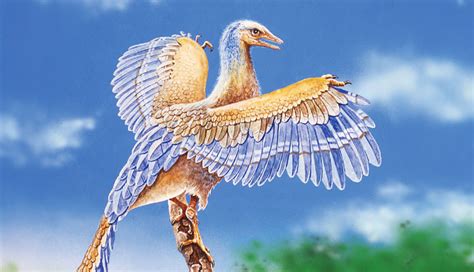 Archaeopteryx