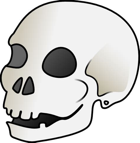 Human Skull Clip Art at Clker.com - vector clip art online, royalty ...