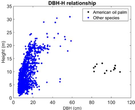 DBH and tree height (H) relationships for American oil palm and other ...