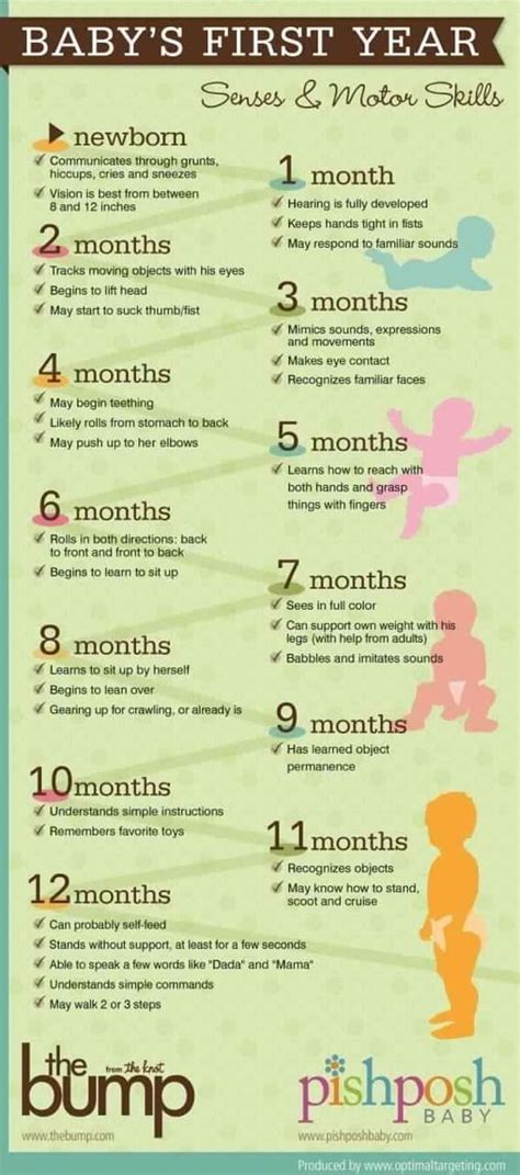 Baby Trivia, 2 Month Baby Milestones, Baby Milestone Chart, Kids ...