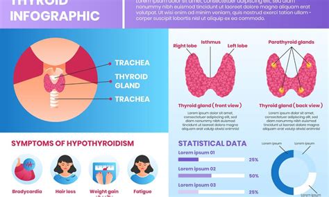 What are the types of thyroid cancer? - FITPAA