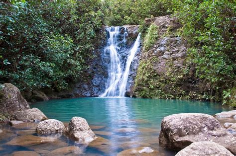 6 Mesmerizing Waterfalls Hikes in Oahu - Flavorverse