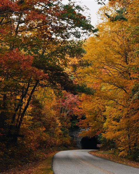 Western Carolina University on Twitter: "Fall foliage is in full effect ...