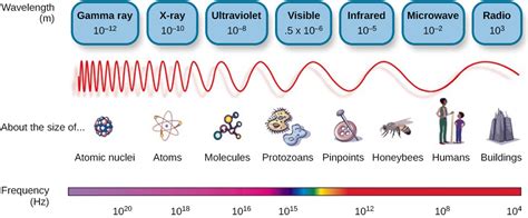 Waves and Wavelengths – Introduction to Psychology I