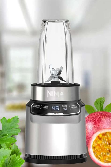 28 Healthy Ninja Blender Smoothie Recipes - Make Drinks