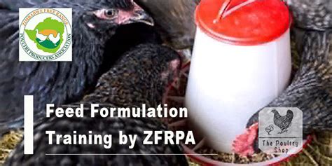 Poultry Feed Formulation Training by ZFRPA – The Poultry Shop