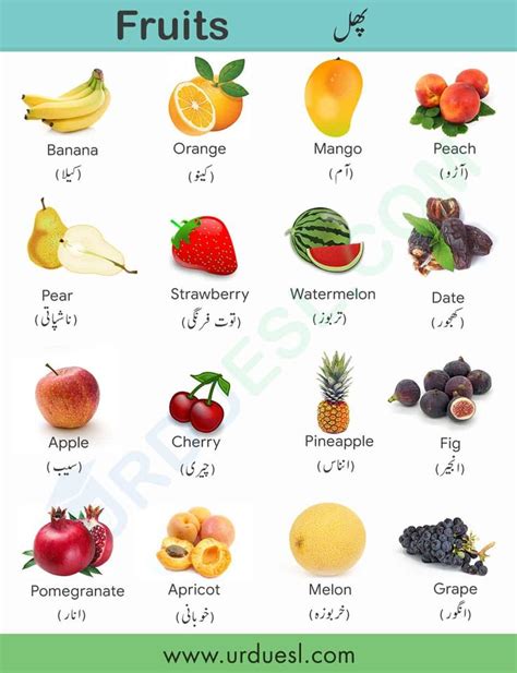 All Fruit Names in English and Urdu With Pictures - Download pdf ...